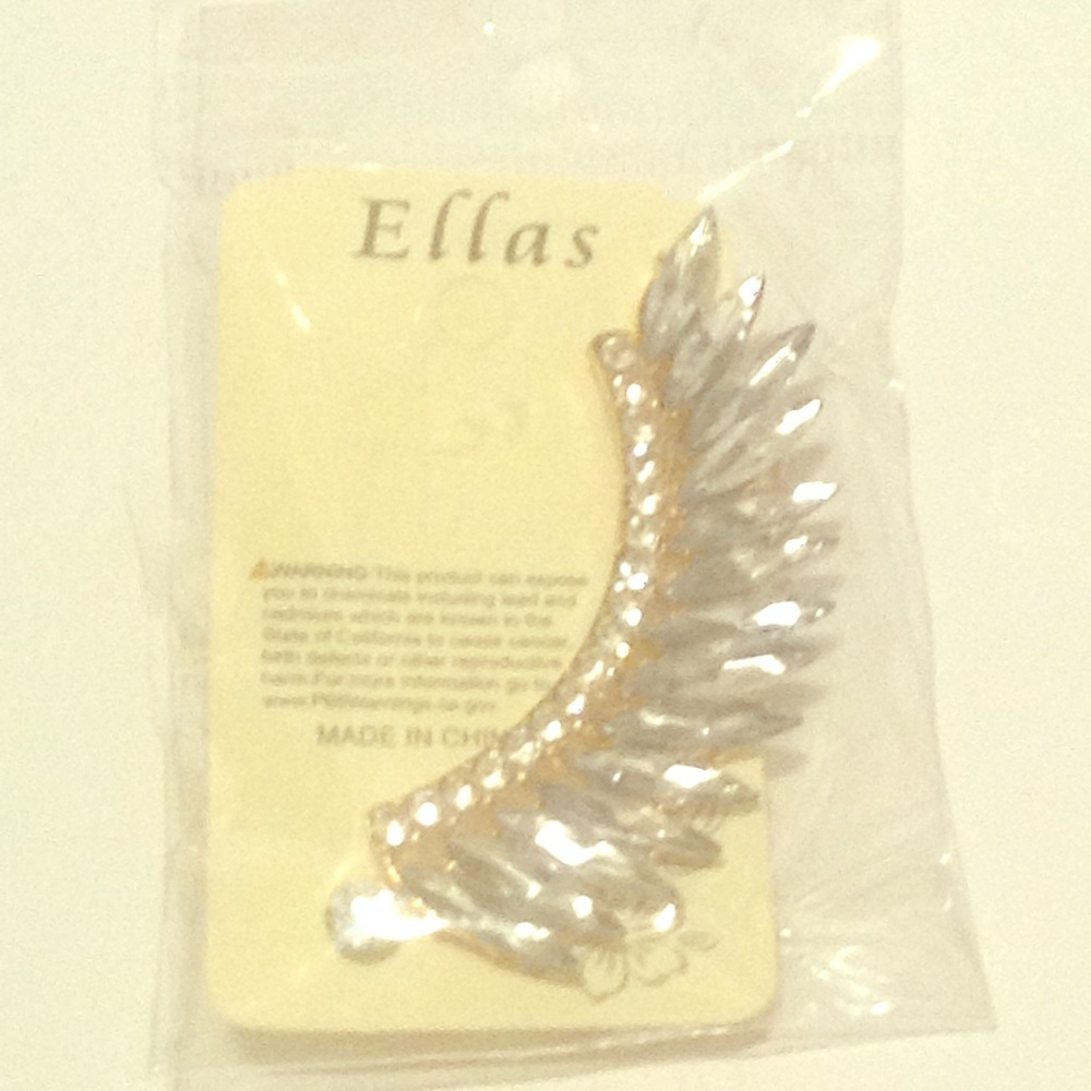Ear rings wings